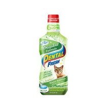 강아지 시너지랩 캣 덴탈후레쉬 오리지널 포뮬라 236ml