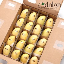 달가 직수입 카라바오 생망고 5kg~6kg, 카라바오 망고 6kg(20~30입), 1개