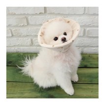 순면감촉 피부보호 강아지 빨대기 넥카라 행동교정 긁음방지 치료관리 노령견 수술후, 1개