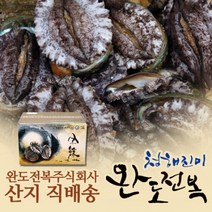선물세트 [中전복]20미 1.3kg[선물용박스포장], 단품