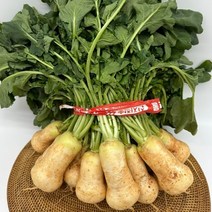 알타리무 3kg내외 총각무 초록 무우 판매 진맛깔