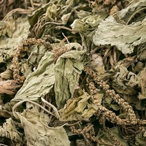 신토불이 국산 약초 차전초(질경이) 600g, 12XM_국산 차전초(질경이) 600g, 12XM_국산차전초(질경이)600g