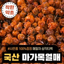 [메밀차 삼각티백 100%사은품 증정] 국산 마가목열매 600g, 국산 마가목열매 600g+[사은품]티백 메밀차 7개입