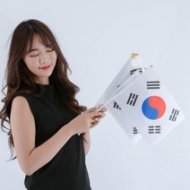 부엉이상점일체형수기태극기(일반)10개입 태극기 국경일 응원용, 10개
