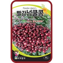 콩 옥수수 씨앗 강낭콩 작두콩 서리태 호랑이콩 종자 백태 땅콩 율무 녹두 팥 완두콩 씨, 11. 빨강강낭콩(넝쿨) 30g