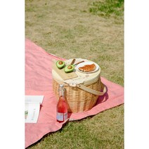 한강나들이 캠핑 라탄 보냉백 아이스박스 쿨러백