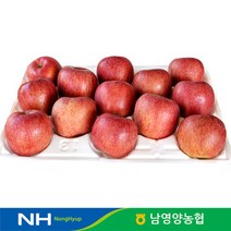 경북 영양농협 사과 꿀부사 최상품 5kg 16과내외, 단품