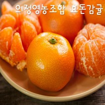 프리미엄 효돈감귤(의정영농조합) 비가림 5kg - 당도최고감귤, 5kg 큰귤(2L)