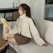 여성용 허쉬 크롭 폴라니트