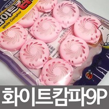나프탈렌 9P 탈취제 좀약 방충제 화이트캄파 탈취제 나프탈렌 좀약 방충제 방향제 욕실 화장실 냄새제거, 상품선택