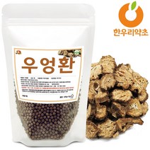 우엉환 300g 국산 효능 먹는법 우엉차, 우엉환300g