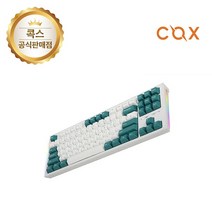 GTMX 저소음축 기계식 키보드 COX C01 TKL PBT 저소음 백축