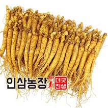 더굿진생 인삼 수삼 금산인삼 원수삼 난발삼 파삼 삼계 350g, 1개, (세척안함)식당알뜰형350g(40~50뿌리