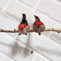 한소픈 참새 모형 2Pset 종달새모형 새모형 새장식 새장 새집 디스플레이 인테리어소품 매장 장식품, 레드