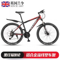 영국 raleigh 유사브롬톤 티타늄자전거 사바파이크 k3 팻바이크 mtb 자이언트 inch, 24 단G, 26인치