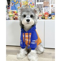 포근한 따뜻한 귀여운 웰시코기 큰 개 애견의류 뽀글이 스트라이프 얇은 강아지옷 통기성 러닝, 3XL 권장 9.0-11.0kg, 펜타스타 블루 오렌지 후드 기모