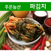 [국내제조] 맵지않고 아삭한 식감이 살아있는 주은농산 쪽파김치 5kg, 쪽파김치 5kg+아이스박스 포장