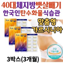 40대 체지방 뱃살빼기 가르시니아 다이어트 보조제 차전자피 녹차 허벅지안쪽살 종아리살 등살 허리살 빼기 한달 단기간 일주일 2주 3주 50대 30대 남자 중년 여성 내장지방빼는법