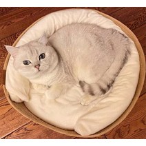 고양이 매트 하우스 애완 동물 침대 개집 개 100% 수제 대나무 직조 4 계절 아늑한 둥지 이동식 쿠션 침낭, 02 High Quality_03 45cmx45cm