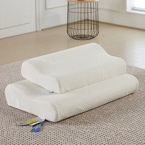 프로텍트어베드 알러씰 텐셀 메모리폼 베개 30x50cm