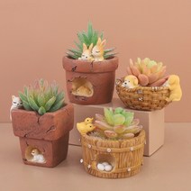 다육이화분 리톱스 아악무 듀가르손 만손초 트리옵스 다육이알뜰장터 다유기 D, 1번