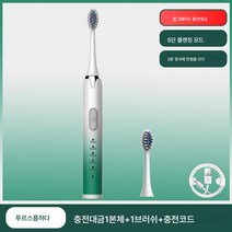전동칫솔 가정용 진동연모충전기 충전대 자동초음파식 성인칫솔 발렌타인 선물, 신선한녹색업그레이드된모델+충전케이블, 1 브러시 헤드