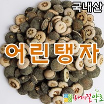 사계절약초 국내산 지실(어린탱자) 200g, 1개