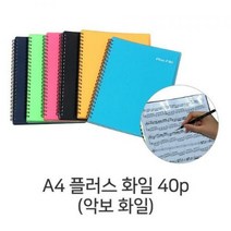 메카 음악화일 A4 플러스화일 40p 악보화일 밴드화일, 녹색