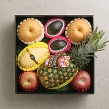 우리가락 [우리가락]프리미엄 제철모둠과1호 8과 (사과.배.아보카도 애플망고 파인애플), 단일옵션