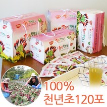 무농약 100% 천년초즙 천년초진액 100ml x120포, 100mlx120포