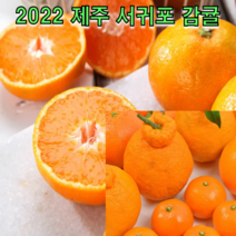 2022 제주 서귀포 감귤 4.5kg 6.5kg 9kg 탱글과육 새콤달콤 조생 감귤 하우스 귤, 제주 감귤 9kg S~M 로얄과