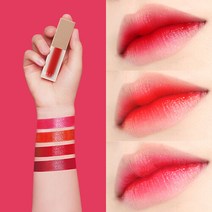 모아트 [모아트] 컬러래스팅 틴트 4종, 선택완료, C1 레드리드