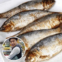 [우체국쇼핑] 산지직송 직접잡은 서천 자연산 전어1kg (15미 내외), 상세 설명 참조