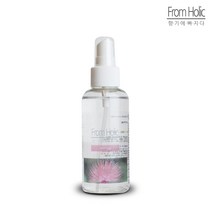 프럼홀릭 미모사 드레스퍼퓸 선물 홈스프레이 린넨스프레이 섬유향수 방향제 향수 120ml, 러브스펠
