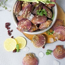 통영 홍가리비 비단가리비 참가리비 1kg, 비단가리비 1kg 20~30미