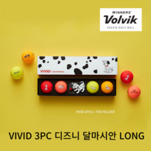 볼빅 3피스 골프공 비비드 골프볼 디즈니 달마시안 LONG 골프공 4구+티홀더, 선택1_해골팩1_4구세트
