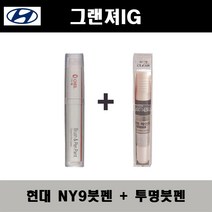 현대 그랜져IG NY9 트랜스미션블루펄 주문붓펜 + 투명붓펜 자동차 도색 차량용 카페인트, NY9 트랜스미션블루펄 주문붓펜+투명붓펜(모비스)