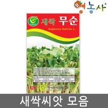 새싹 씨앗 모음 수경재배 식물키우기 홈가드닝, 새싹엔다이브