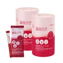 레모나산 (2g x 120포) 2통/기미/피로회복, 1+1 저분자 피쉬 결콜라겐 리뉴