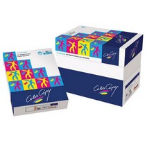 [101412]컬러레이저용지A4 (90g/500매/NEUSIEDLER), 본상품선택, 500매