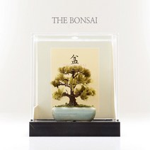 프로디아 미니여쳐 분재 소나무 삼나무 장식모형, 선택01 소나무 (하늘색 화분)