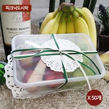 피크닉도시락 일회용기 T1000A, 50개입, 1개