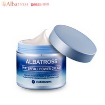 참존 알바트로스 워터풀 파워 크림 100ml, 1개