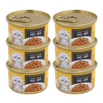 골드런치 고양이 주식캔 치킨 + 참치 80g, 12개입, 닭