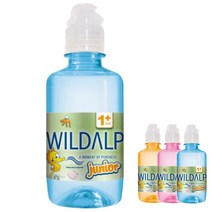 와일드알프 쥬니어워터, 250ml-1개