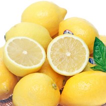 인기 레몬40과 추천순위 TOP100 제품