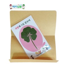 [럭키심볼] 사랑의 5잎클로버 생화카드 일반카드