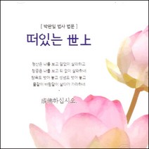 (CD) 박완일법사 - 떠있는 세상 (박완일법사법문), 단품