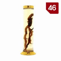 용천자연유리 담금주병 수동 46호, 6개, 1개