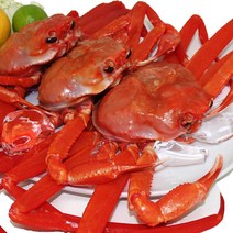 홍게 당일조업 산지직송, 1개, 프리미엄 5kg(10~15마리), 5kg